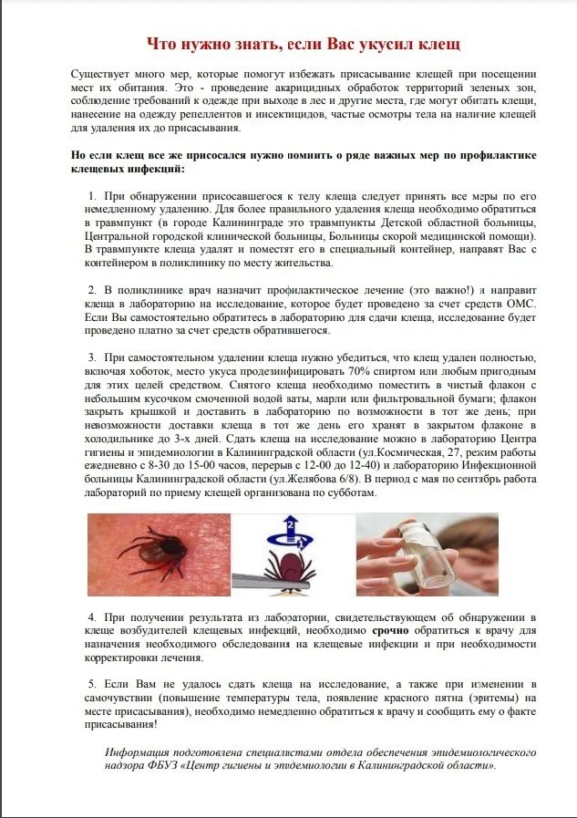 Что нужно знать, если Вас укусил клещ