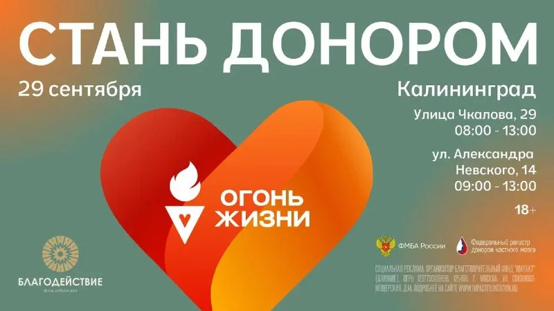 Всероссийская эстафета факела «Огонь жизни» пройдет в Калининграде