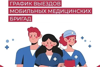 График выезда мобильной бригады на ФАПы