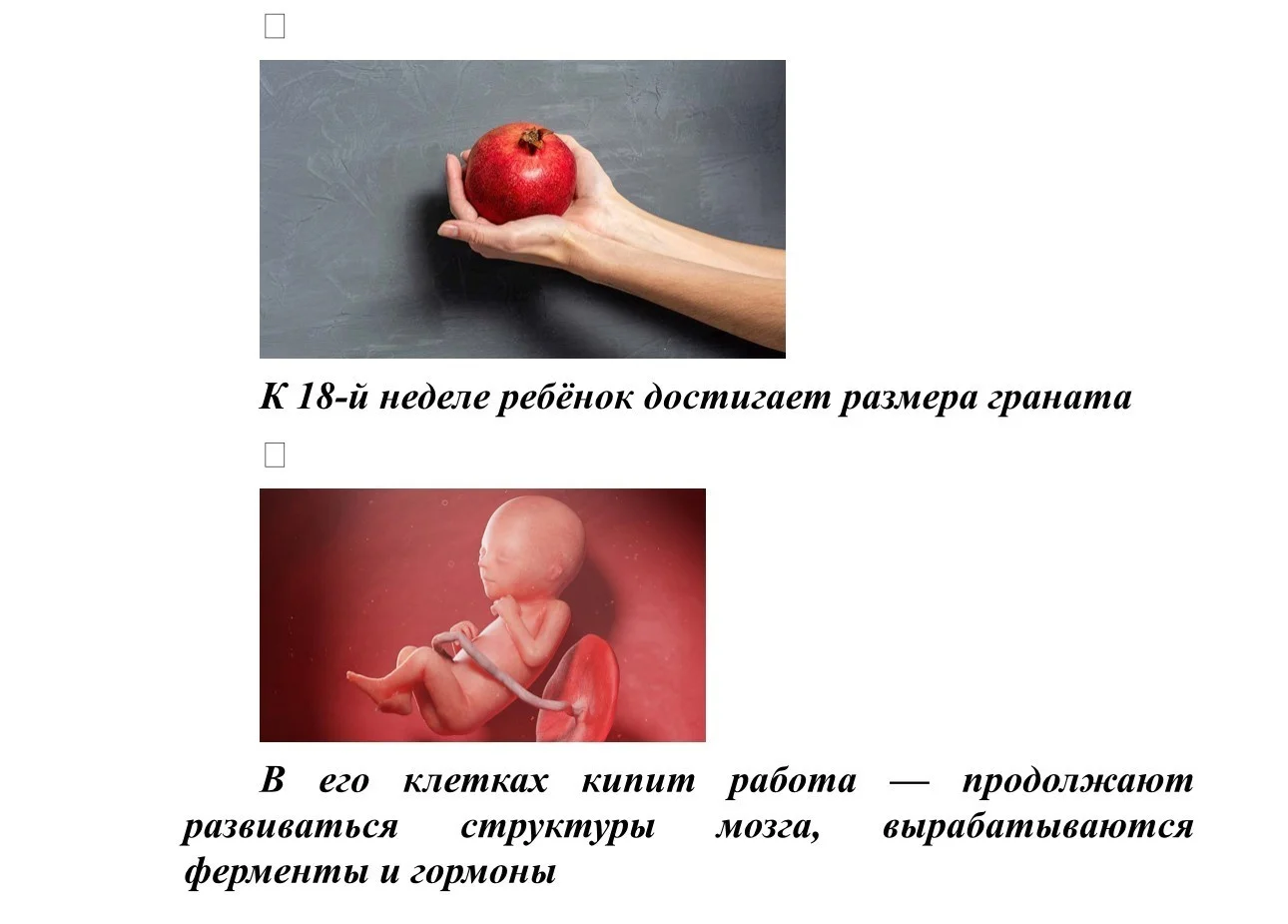 Размер плода_6.jpg