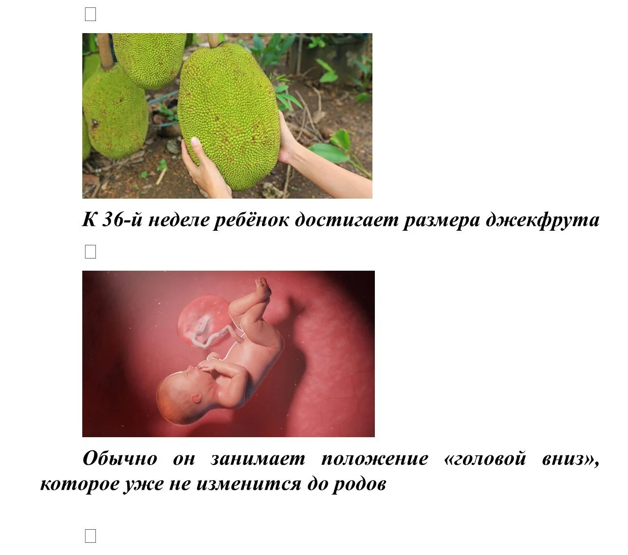 Размер плода_15.jpg