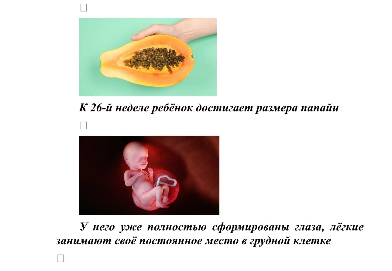 Размер плода_10.jpg