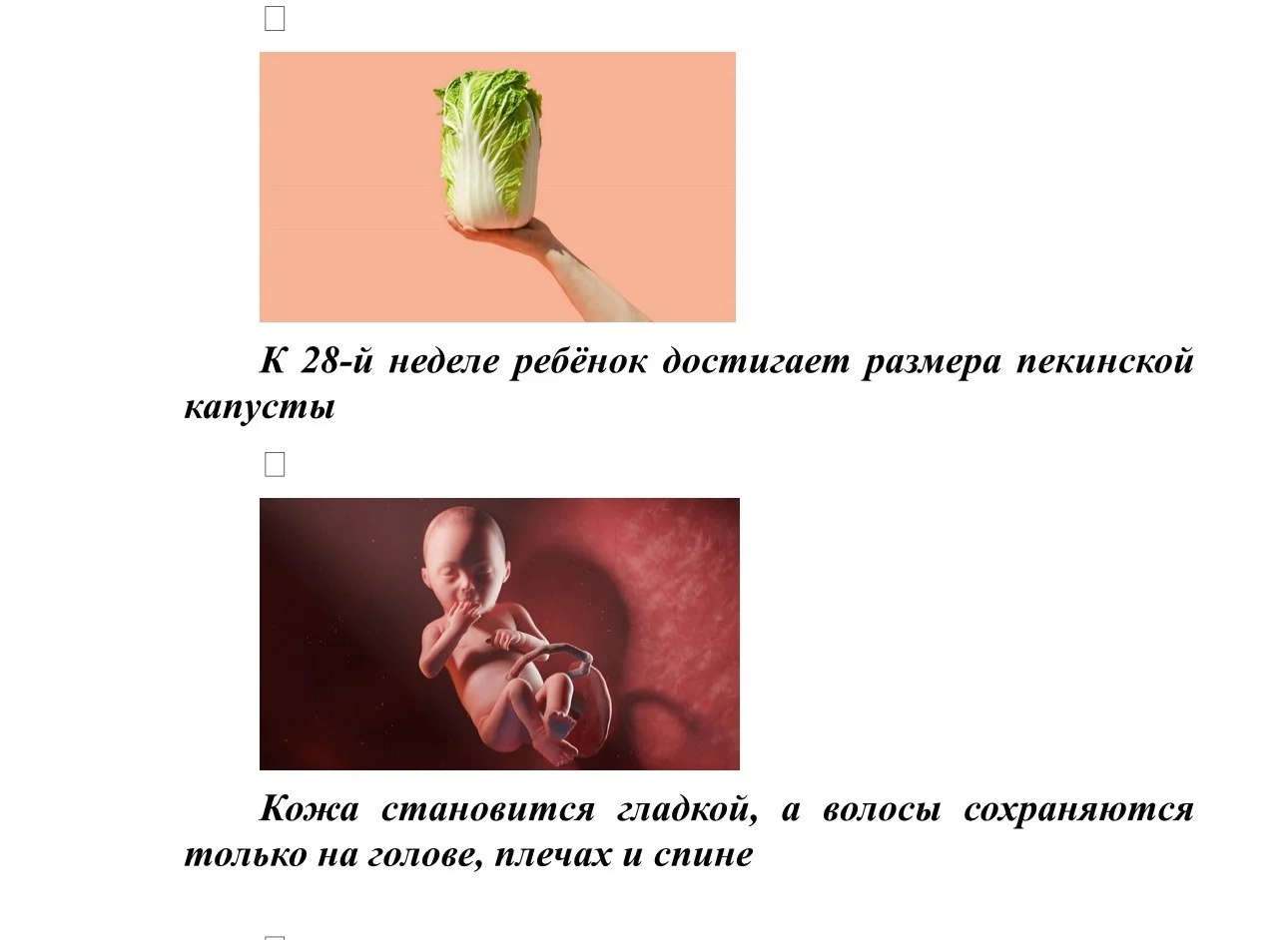 Размер плода_11.jpg