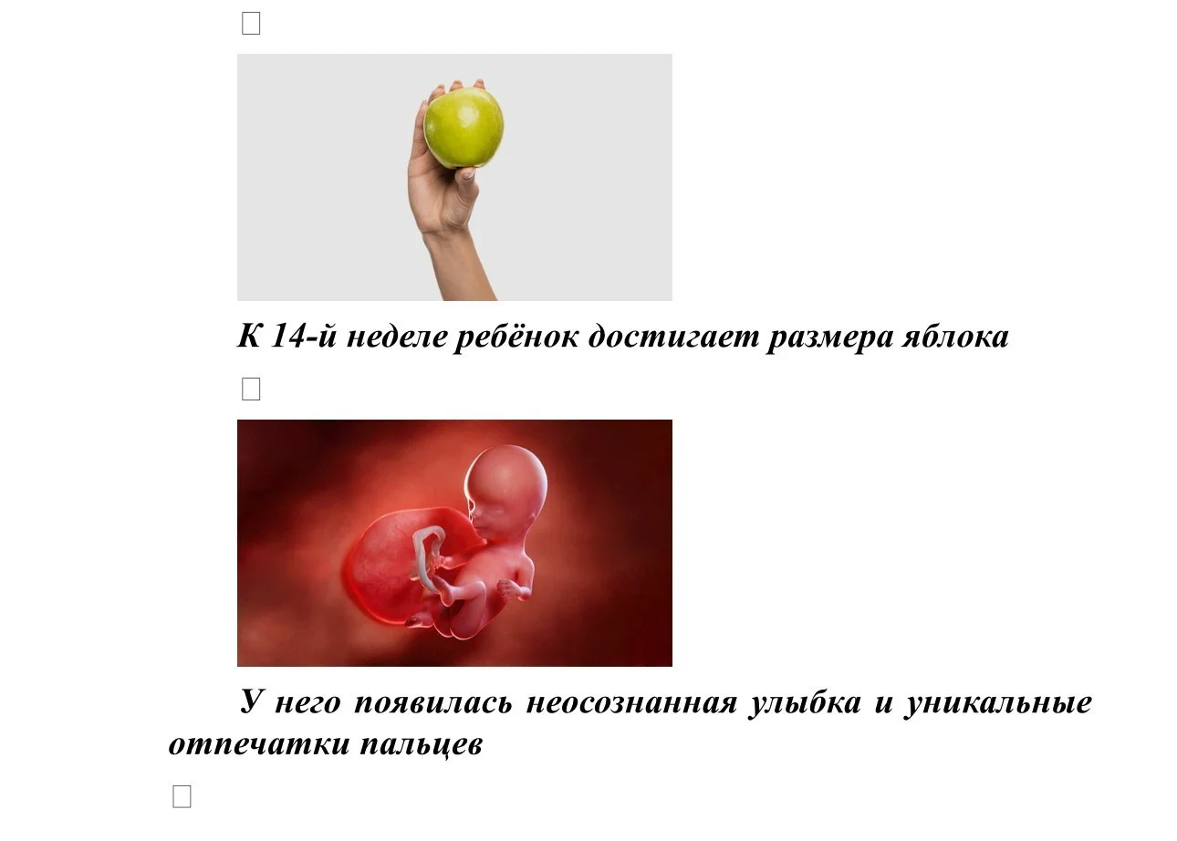 Размер плода_4.jpg