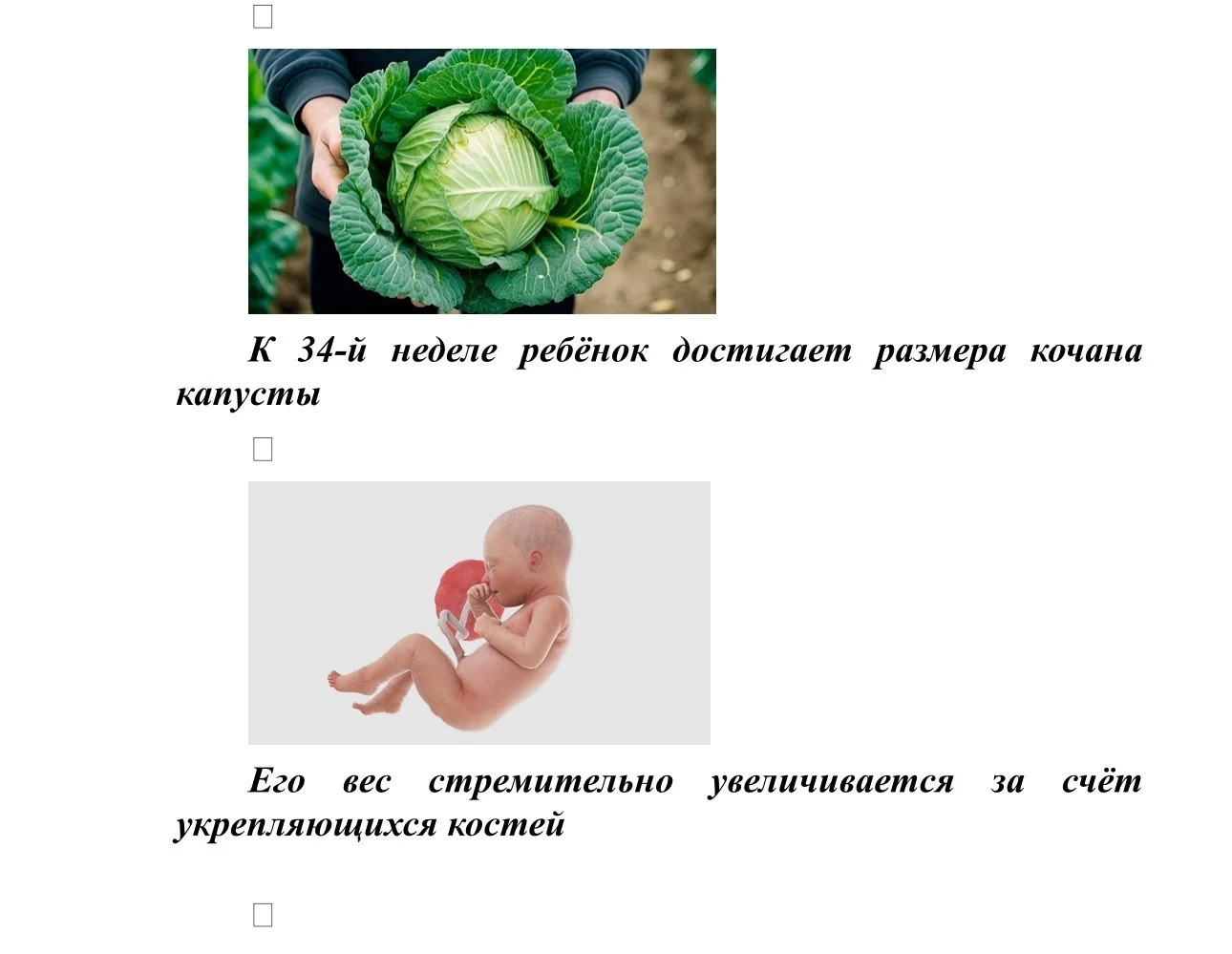 Размер плода_14.jpg