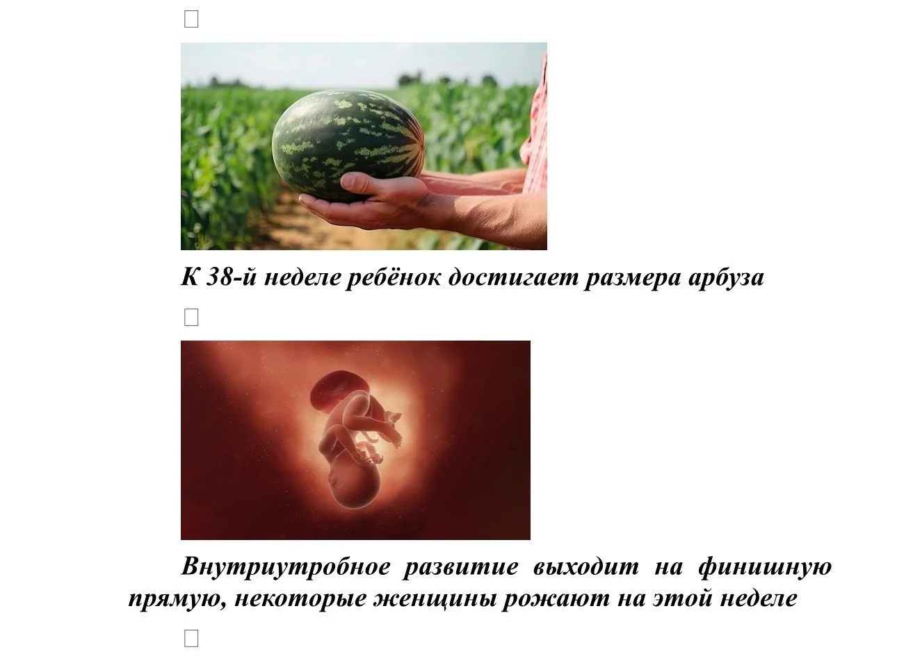 Размер плода_16.jpg