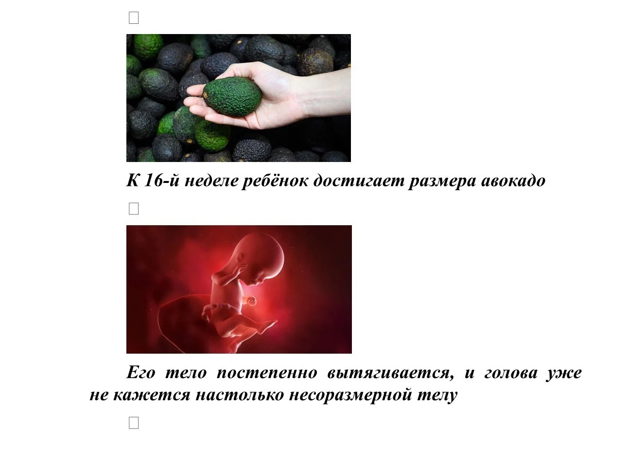 Размер плода_5.jpg