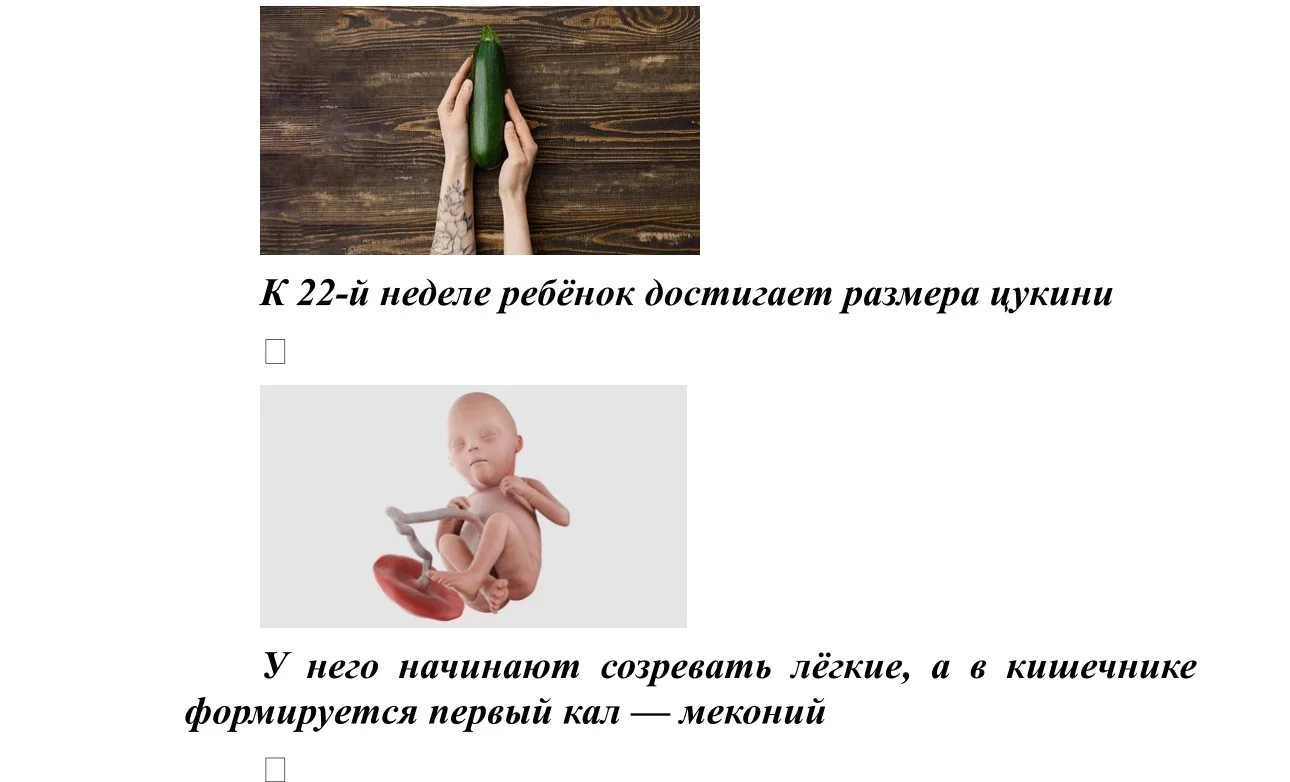 Размер плода_8.jpg