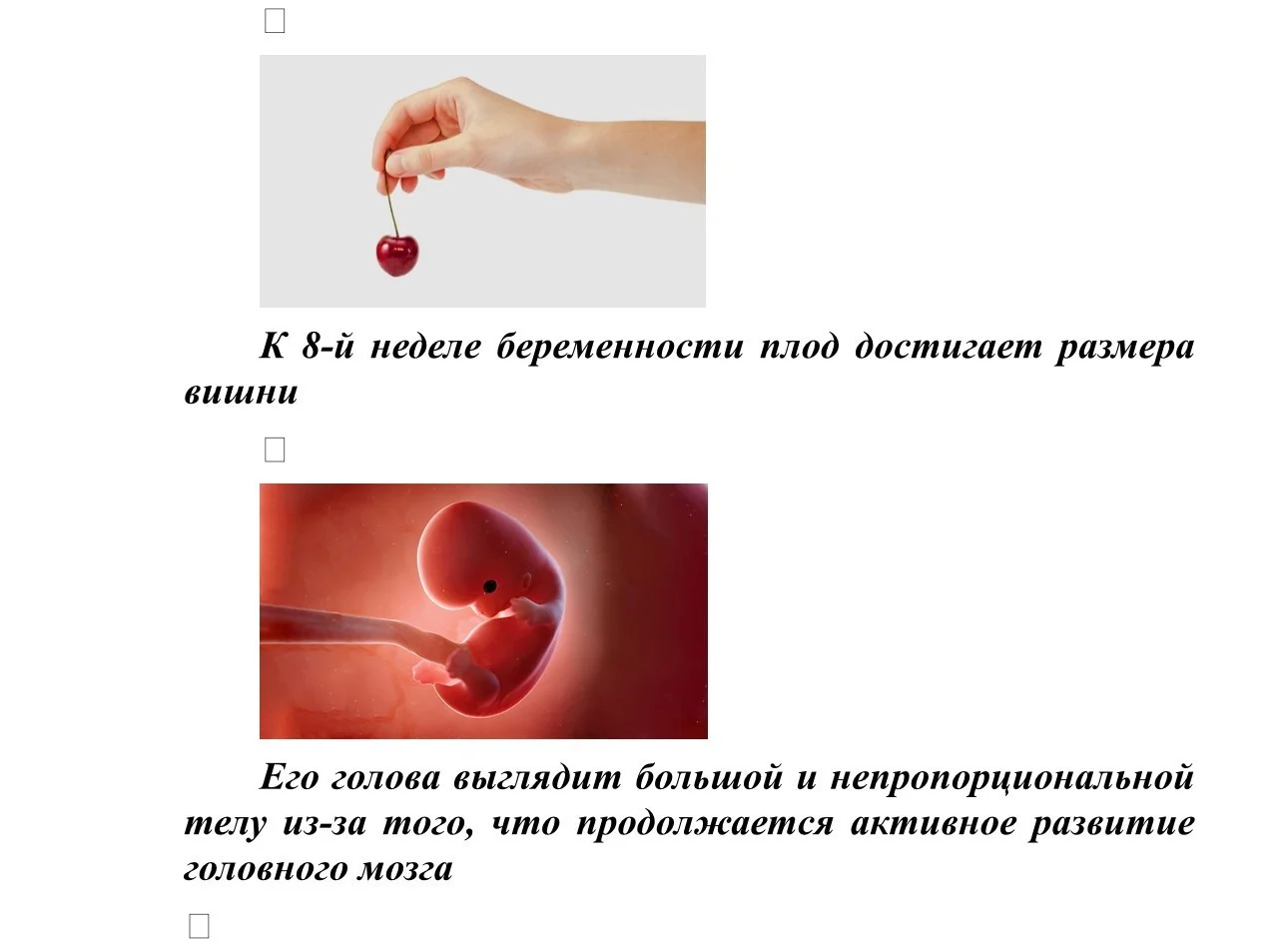 Размер плода_2.jpg