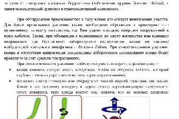 Что нужно знать если Вас укусил клещ?