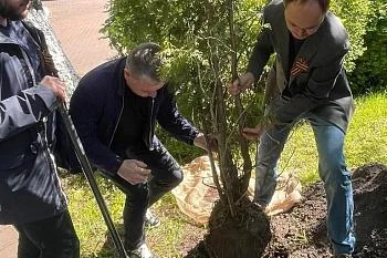 Сотрудники регионального минздрава и главные врачи лечебных учреждений заложили «Сад Победы» в Калининграде